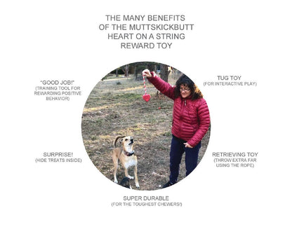 Heart on a String - Ultra-Durable Reward Ball