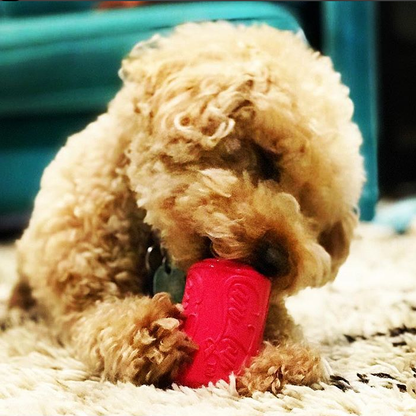 Puppy Can Toy - Chew Toy - Treat Dispenser - Pink
