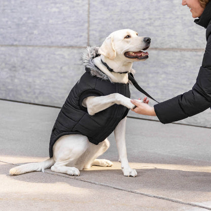 True North Dog Parka