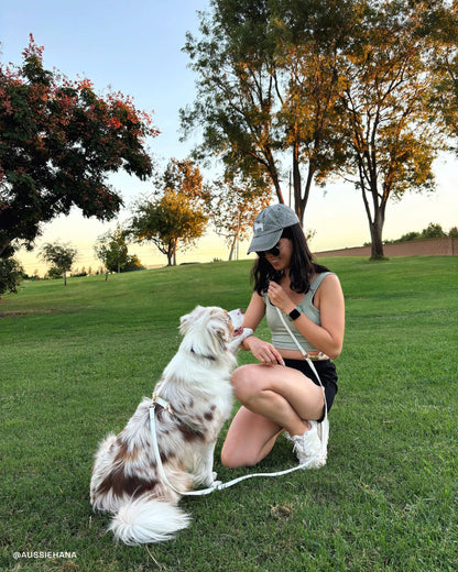 Dog Leash Waterproof - Lunar Glow | 4 ft, 5 ft, 6 ft
