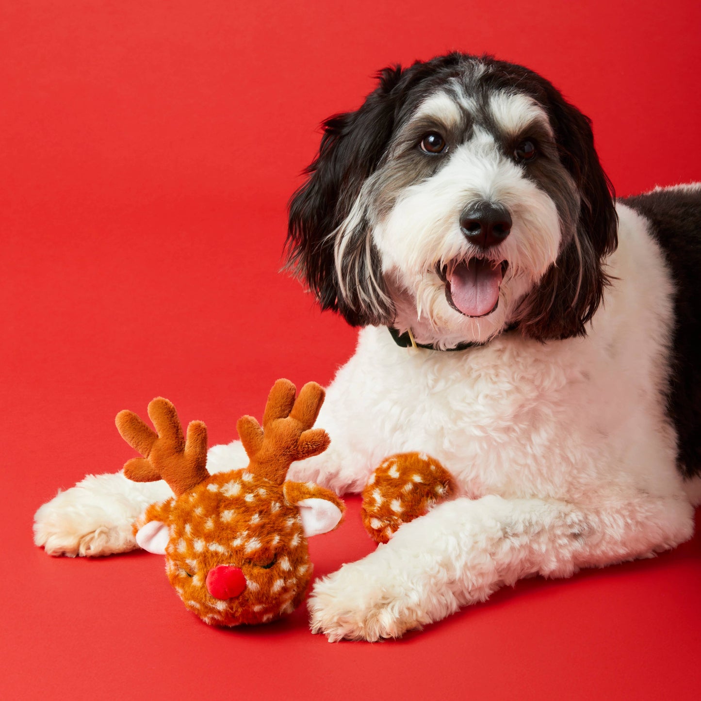Foggy Dog Reindeer 2-in-1 Bounce Toy