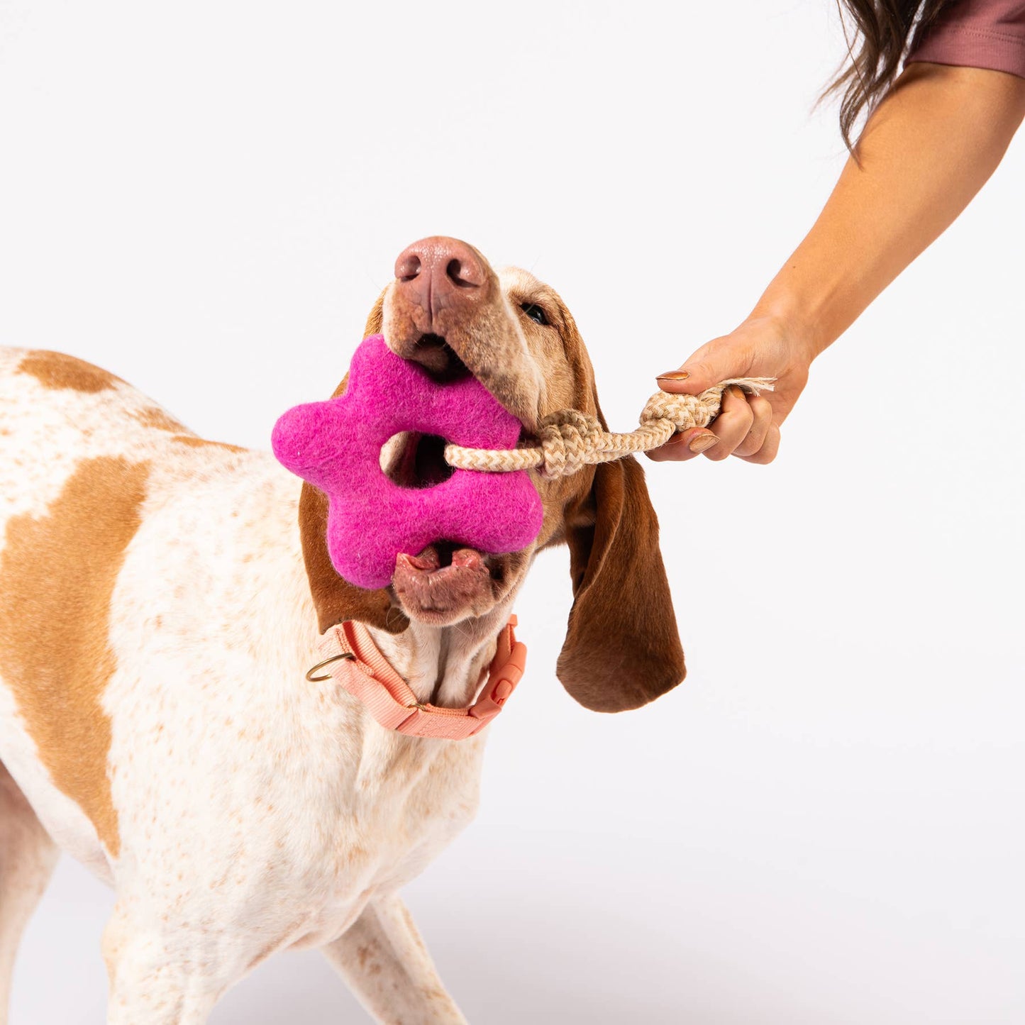Awoo Pullin' Posies Felt Toy