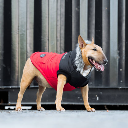 True North Dog Parka