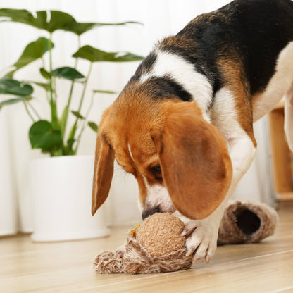 SQUIRREL POP DOG TOY