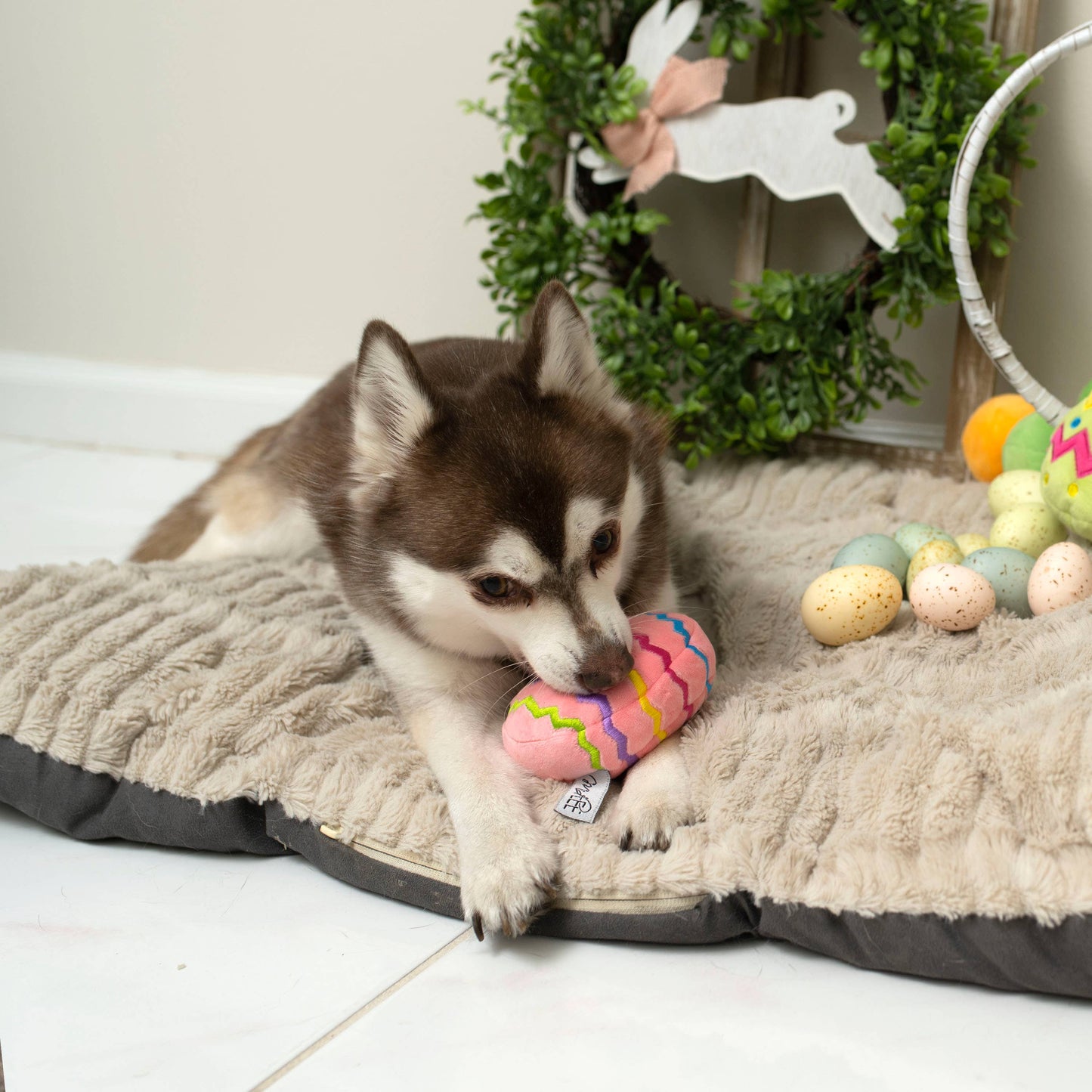 Midlee Easter Egg Plush Dog Toy - Pink
