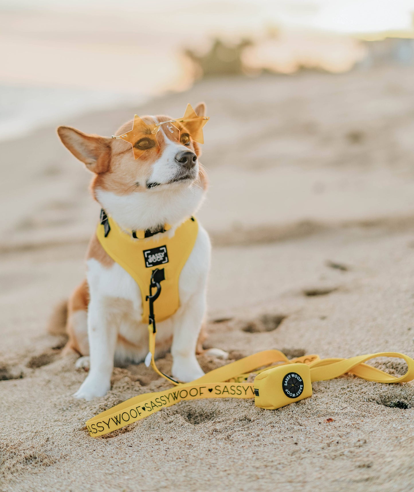 Dog Waste Bag Holder - Neon Yellow