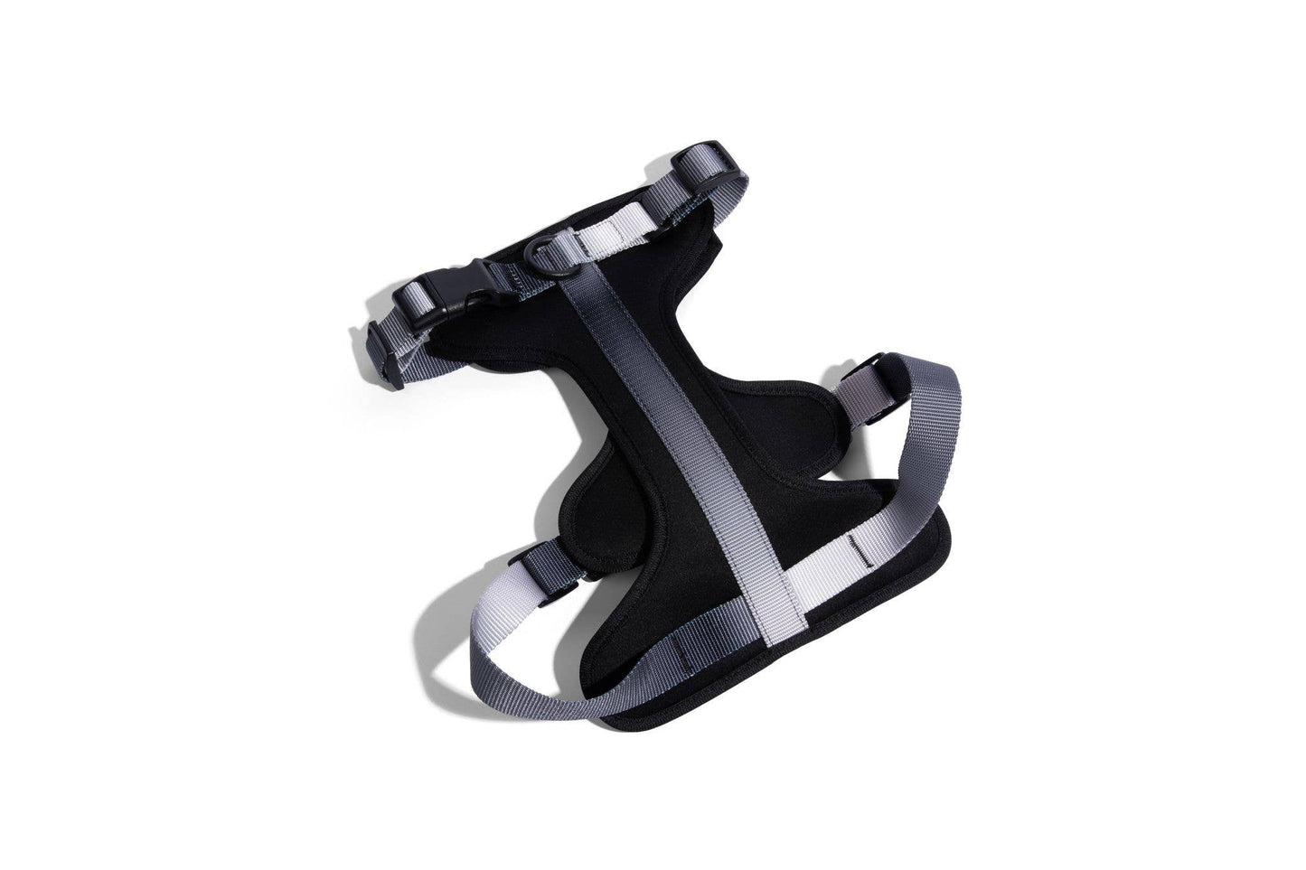 Rowan Dog Harness | Black