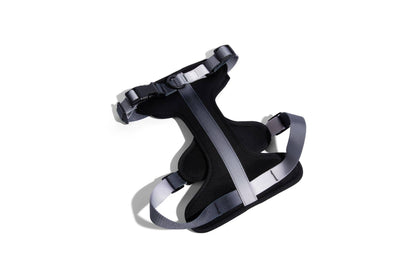 Rowan Dog Harness | Black