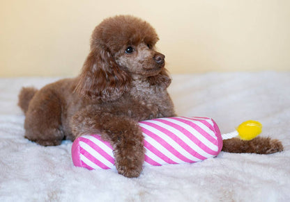 ThoozyPet Birthday Candle Pink w/ Rope 16"