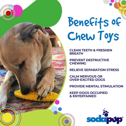 Corn on the Cob Chew Toy - Medium/Large