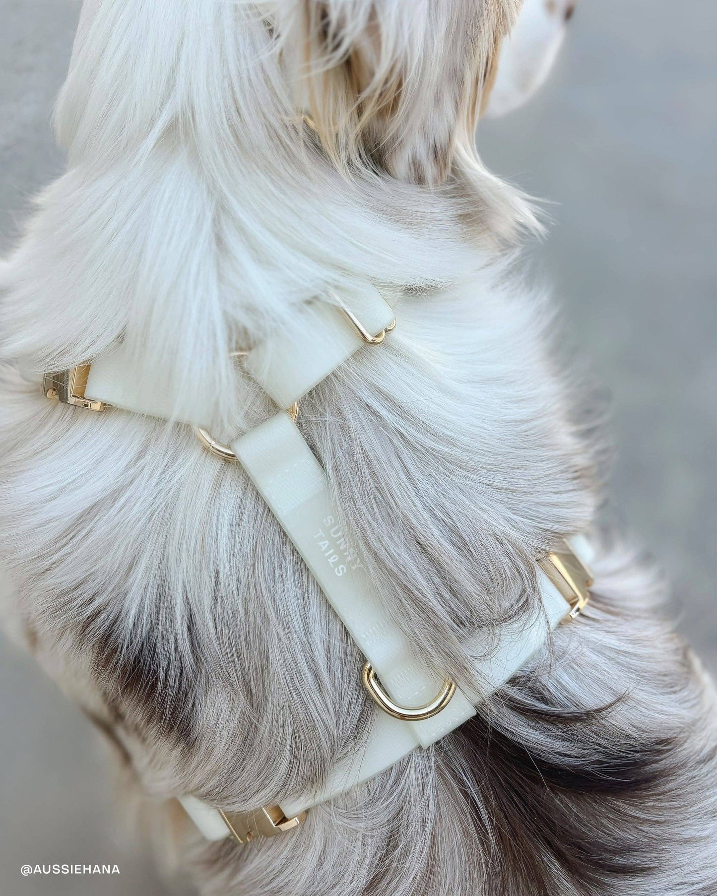 Dog Leash Waterproof - Lunar Glow | 4 ft, 5 ft, 6 ft