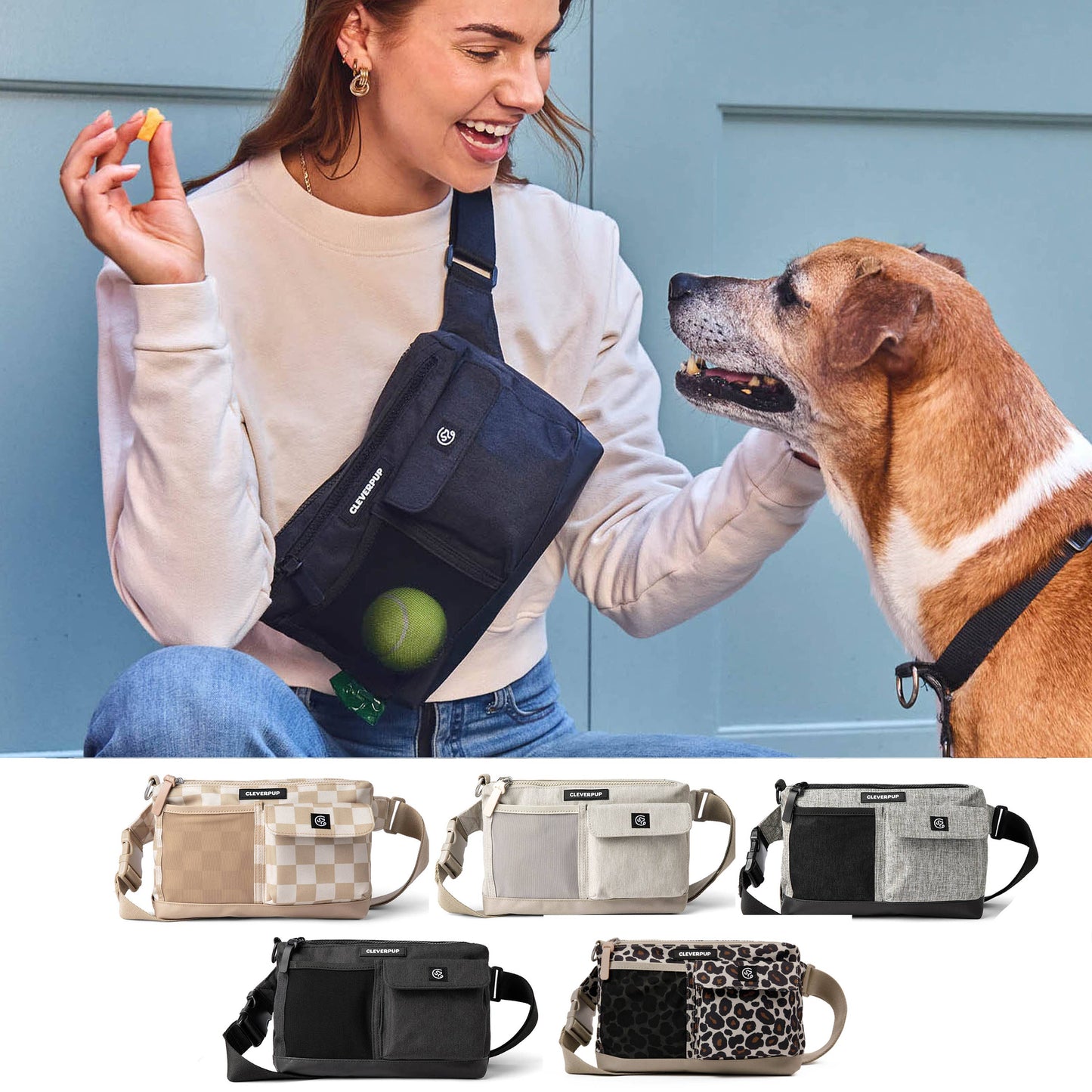Dog Walk & Train Sling Bag