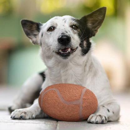 Packers Chewer Ball