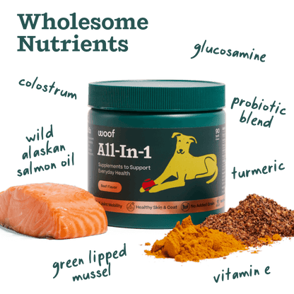 All-in-1 Chews