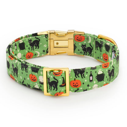 Spellbound Dog Collar