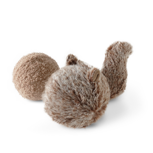 SQUIRREL POP DOG TOY