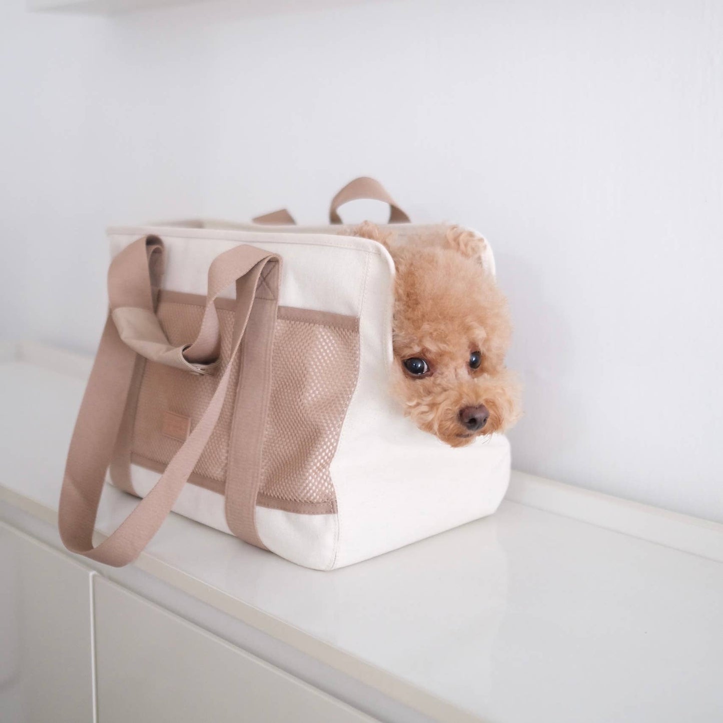 SUBWAY PET CARRIER