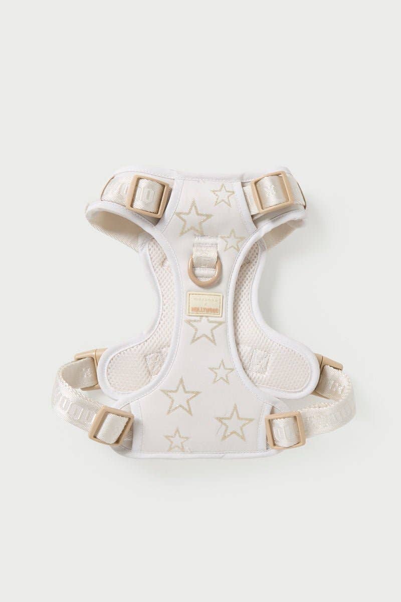 Maxbone x Hollywood Dog Walk Set