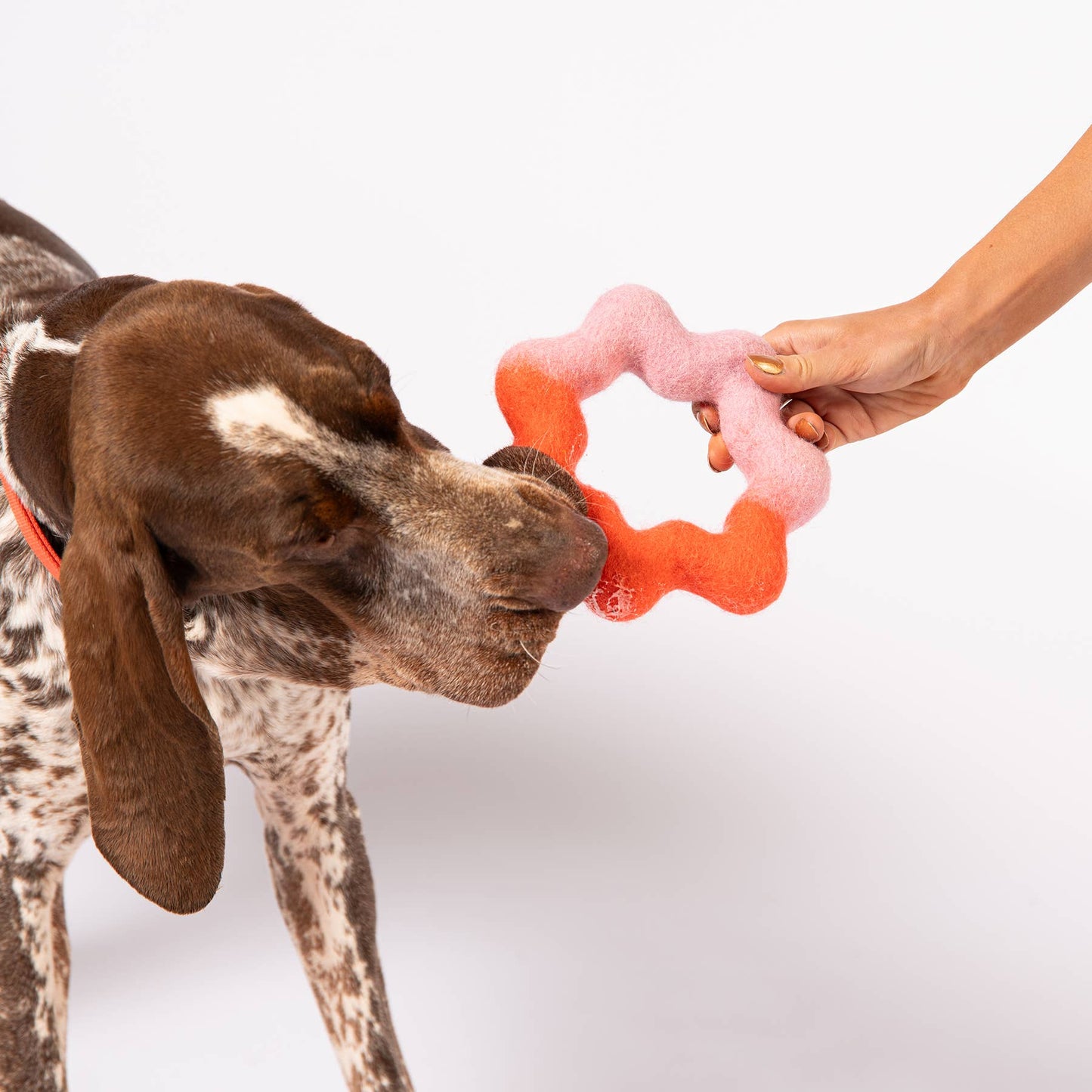 Awoo Wiggle Ring Felt Toy