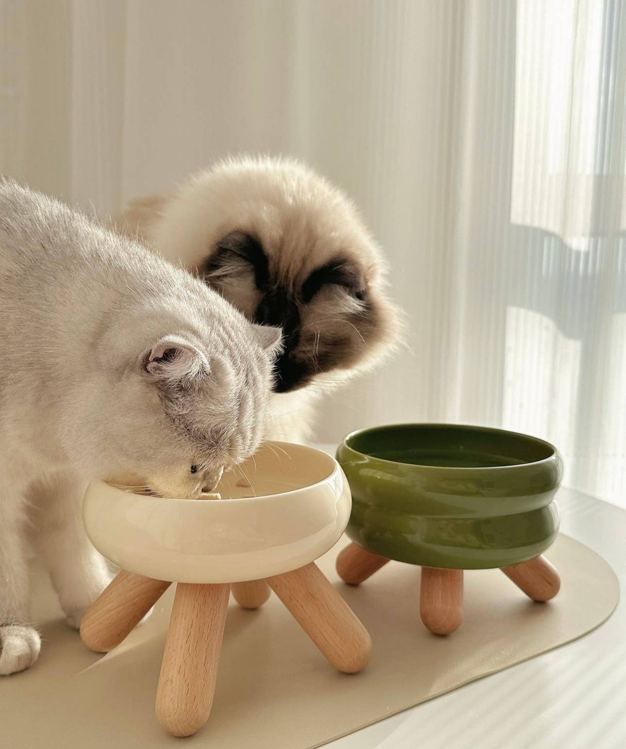 Ceramic Elevated Food Bowl