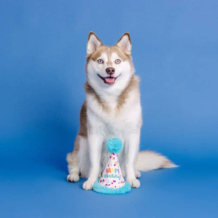 PetShop by Fringe Yappy Barkday Rubber/Plush Dog Toy