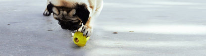 Super Pear | Dog Toy