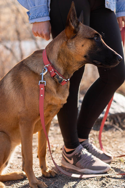 Modern Style Soft Leather Quick-Release Euro-Dog Collar