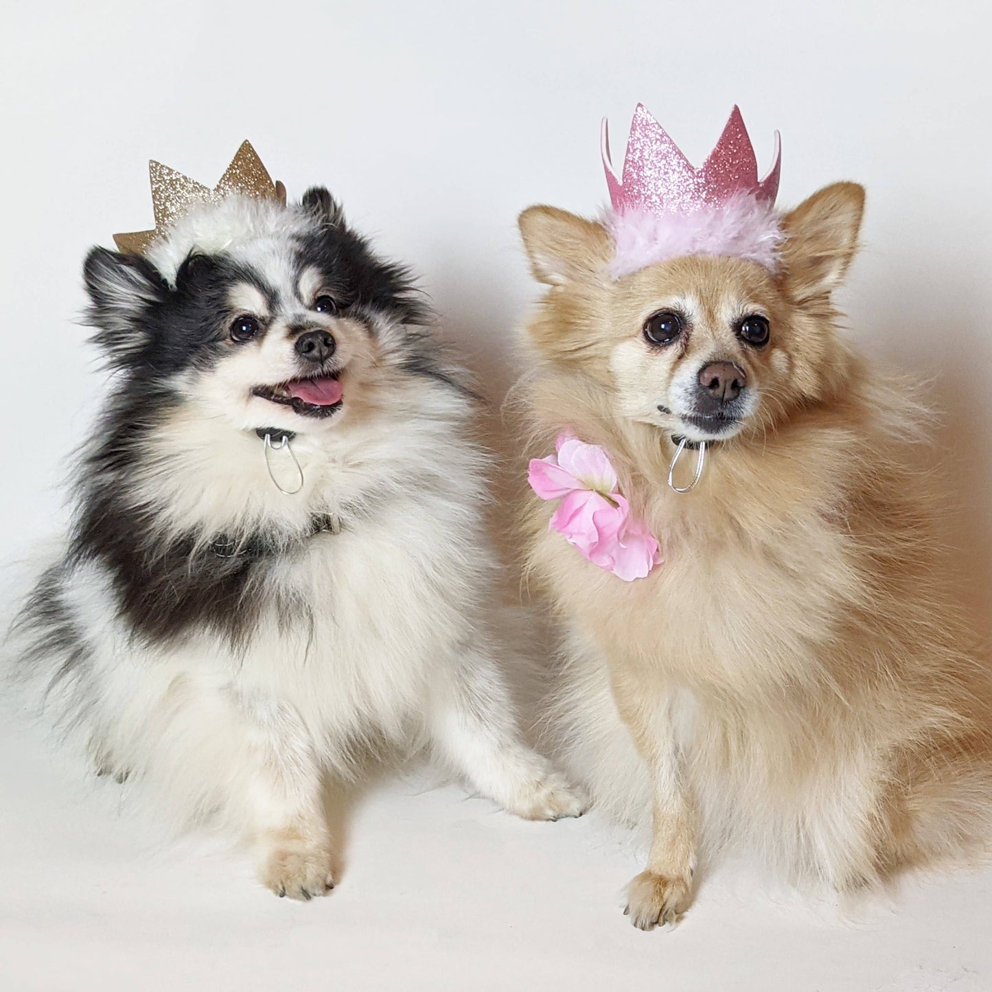 Party Crown Pink