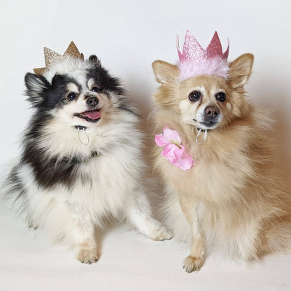 Party Crown Pink