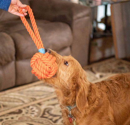 ThoozyPet Ball Tug Rope Orange 5"