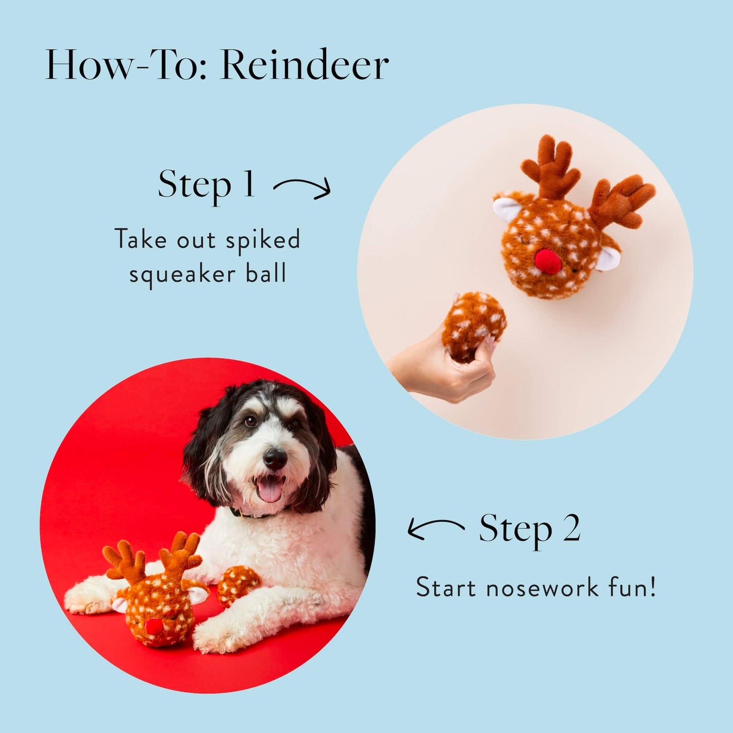 Foggy Dog Reindeer 2-in-1 Bounce Toy