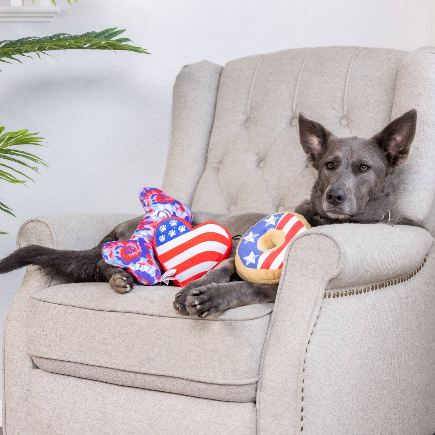 Paws & Stripes Heart Dog Toy