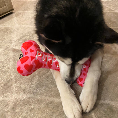 My Puppy Love Bone Dog Toy
