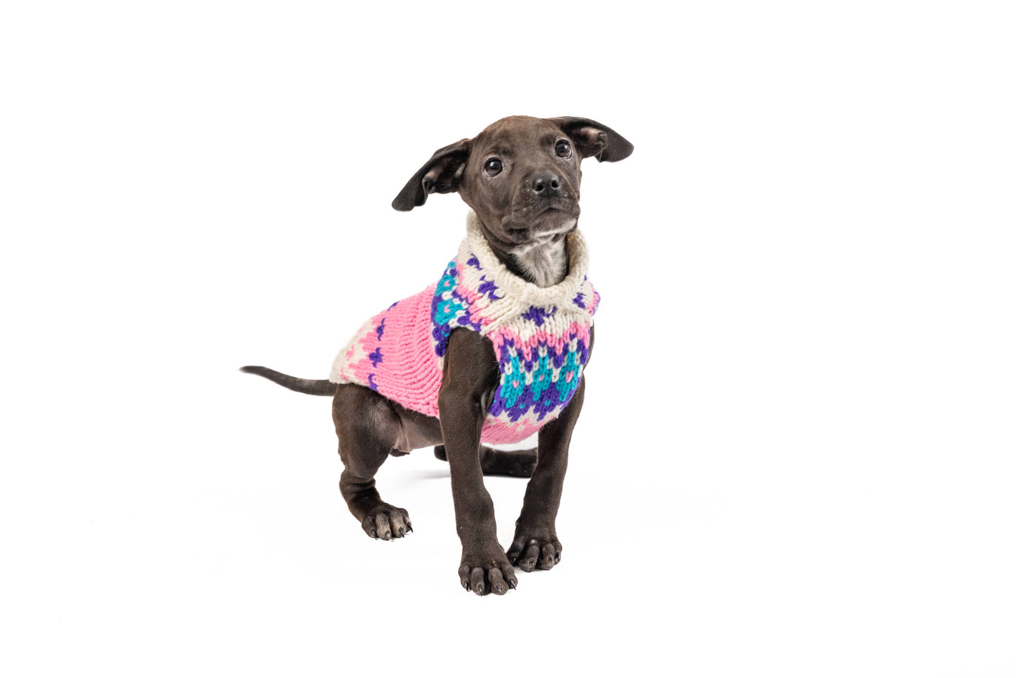 Pink Ski Bum Sweater