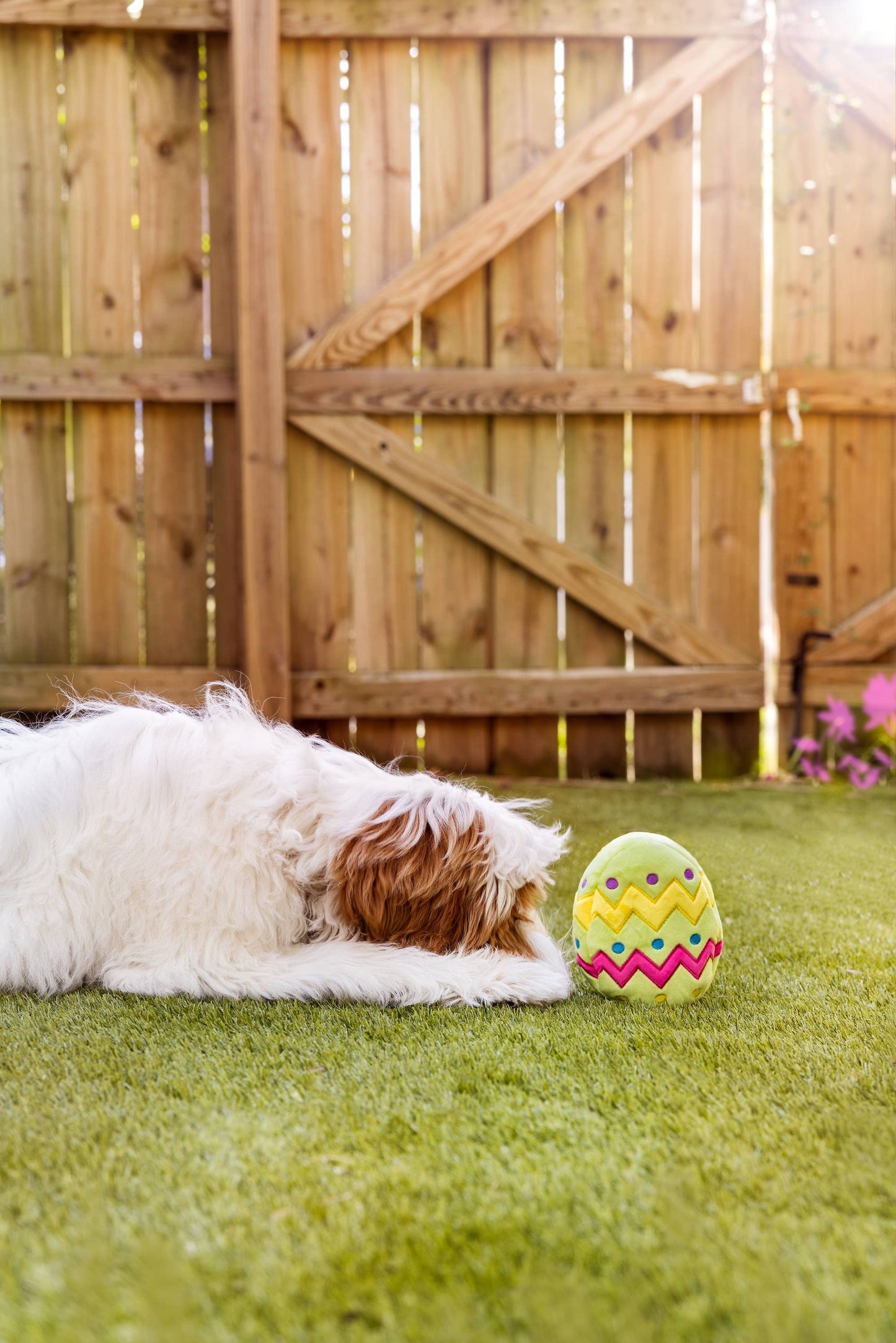 Midlee Plush Easter Egg Dog Toy with Squeaker