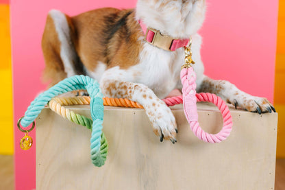 Halston Rope Dog Leash | Pastel