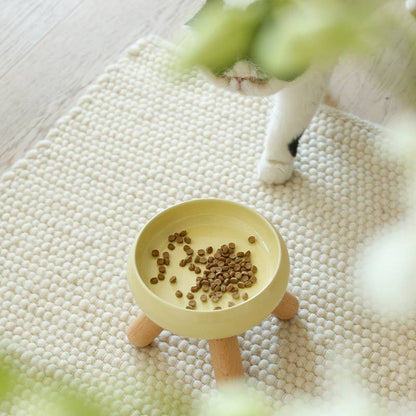 Ceramic Elevated Food Bowl