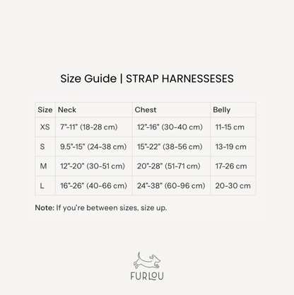 Rainbow - Strap Dog Harness
