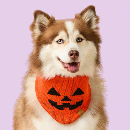 Jack-o-Lantern Bandana