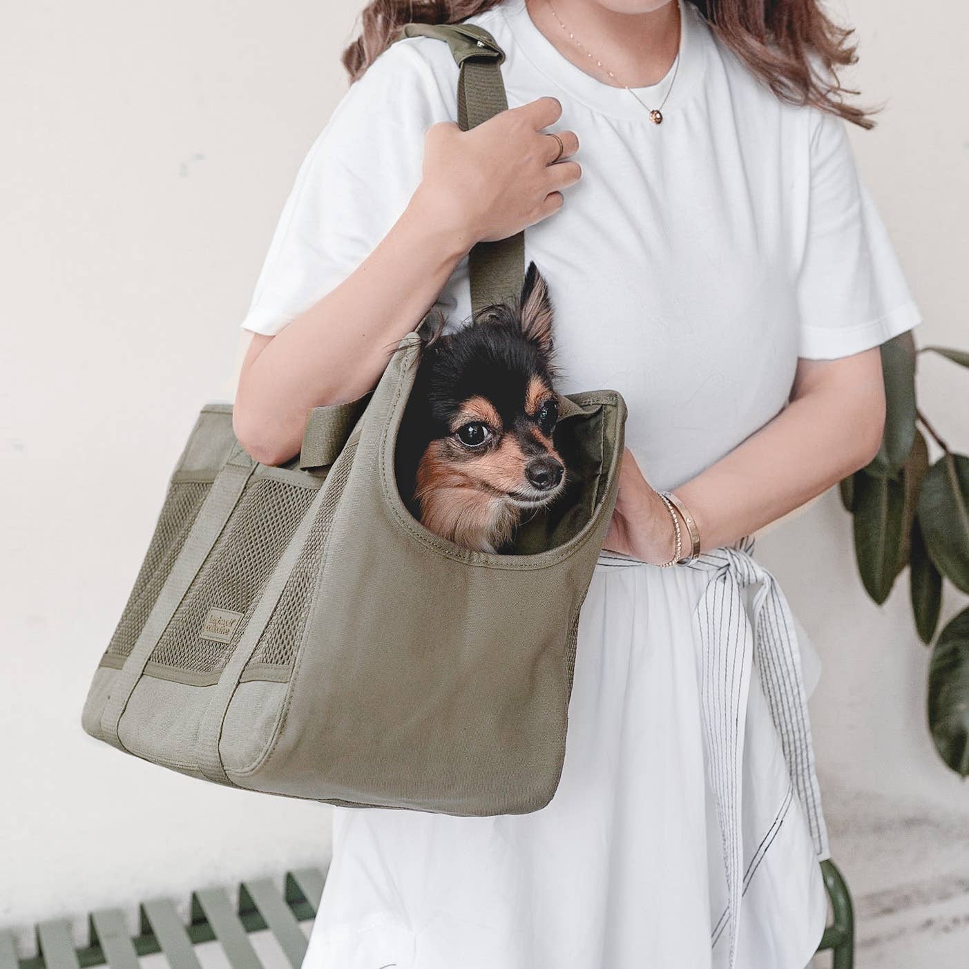 SUBWAY PET CARRIER
