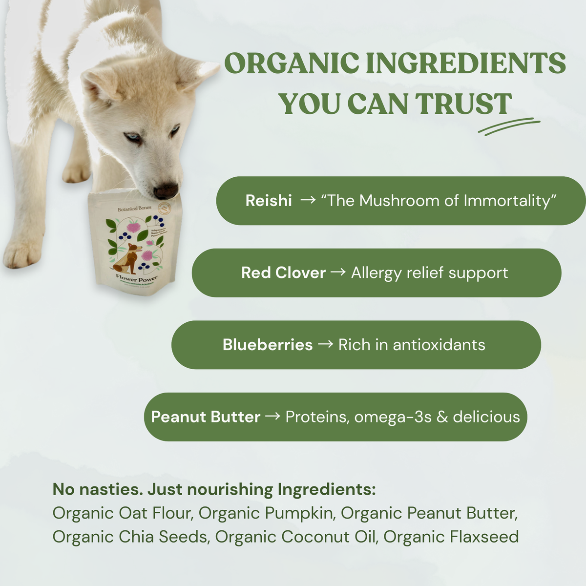 Flower Power Cookies - All Natural, Organic Dog Treats