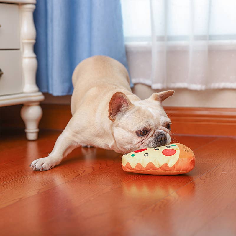 HugSmart Pizza Toy