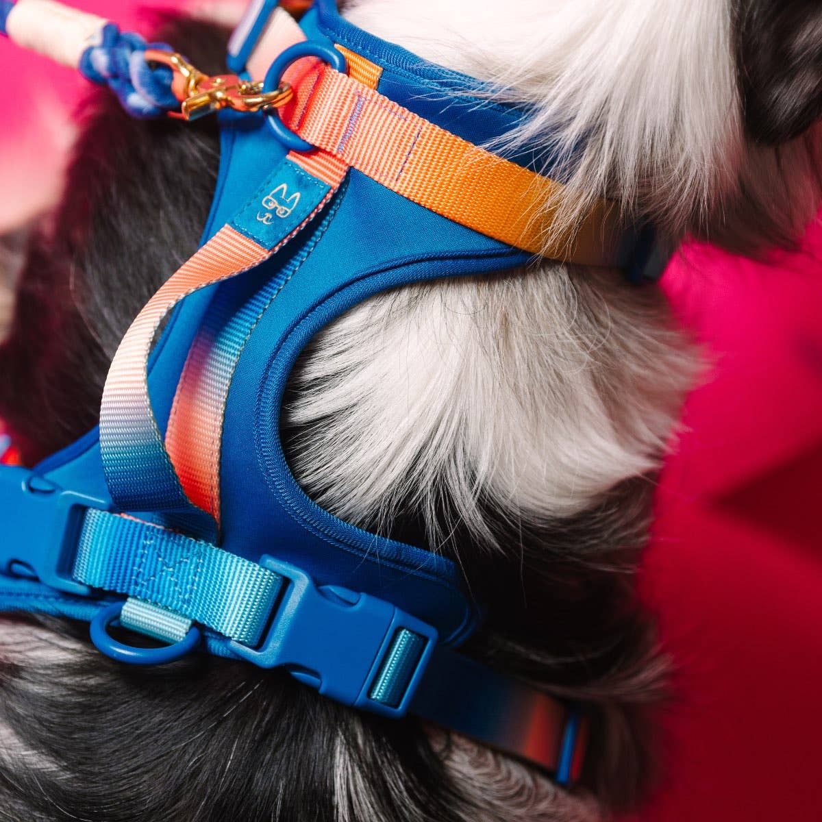 Atlas Dog Harness | Blue