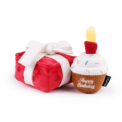 CHEWFFON Gift Box Dog Toy Crinkle, Squeak & Treat Puzzle