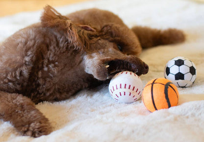 ThoozyPet Tennis Ball Asst Baseball/Basketball/Soccer