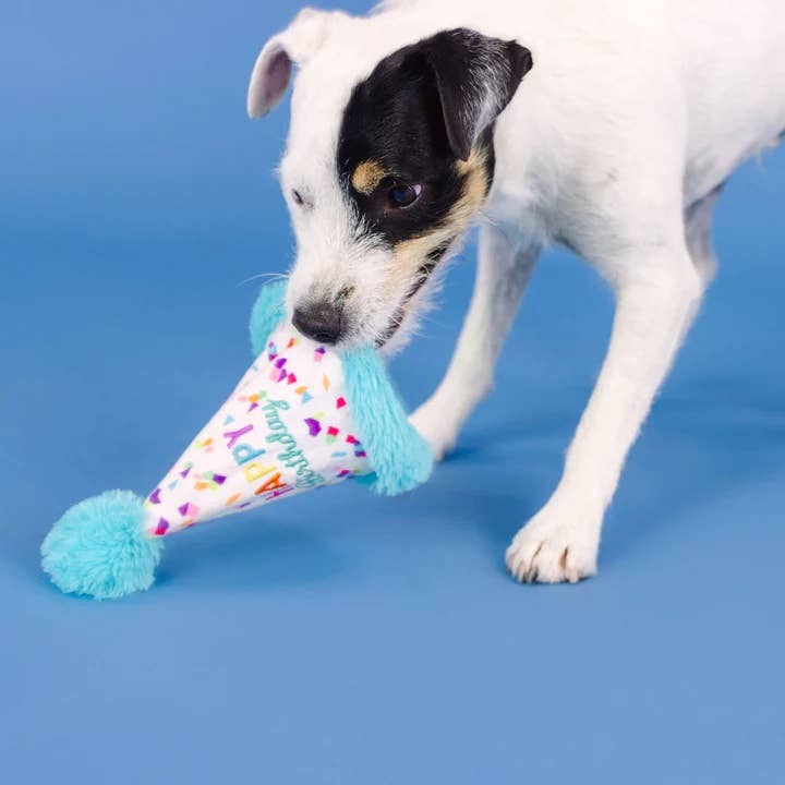 PetShop by Fringe Yappy Barkday Rubber/Plush Dog Toy