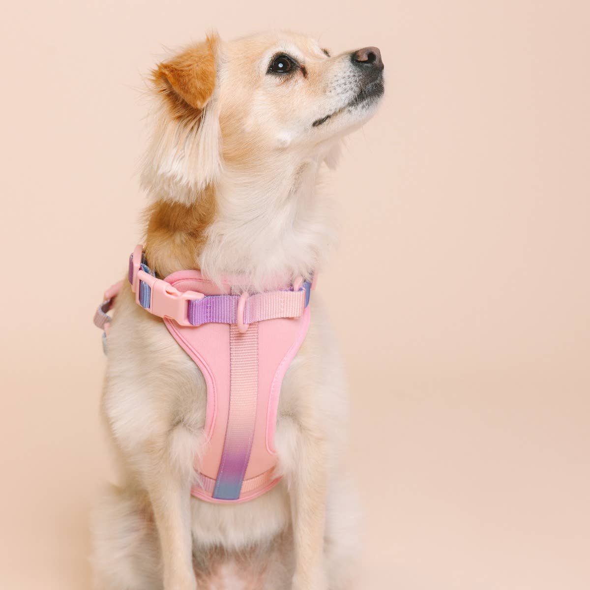 Diem Dog Harness | Pink