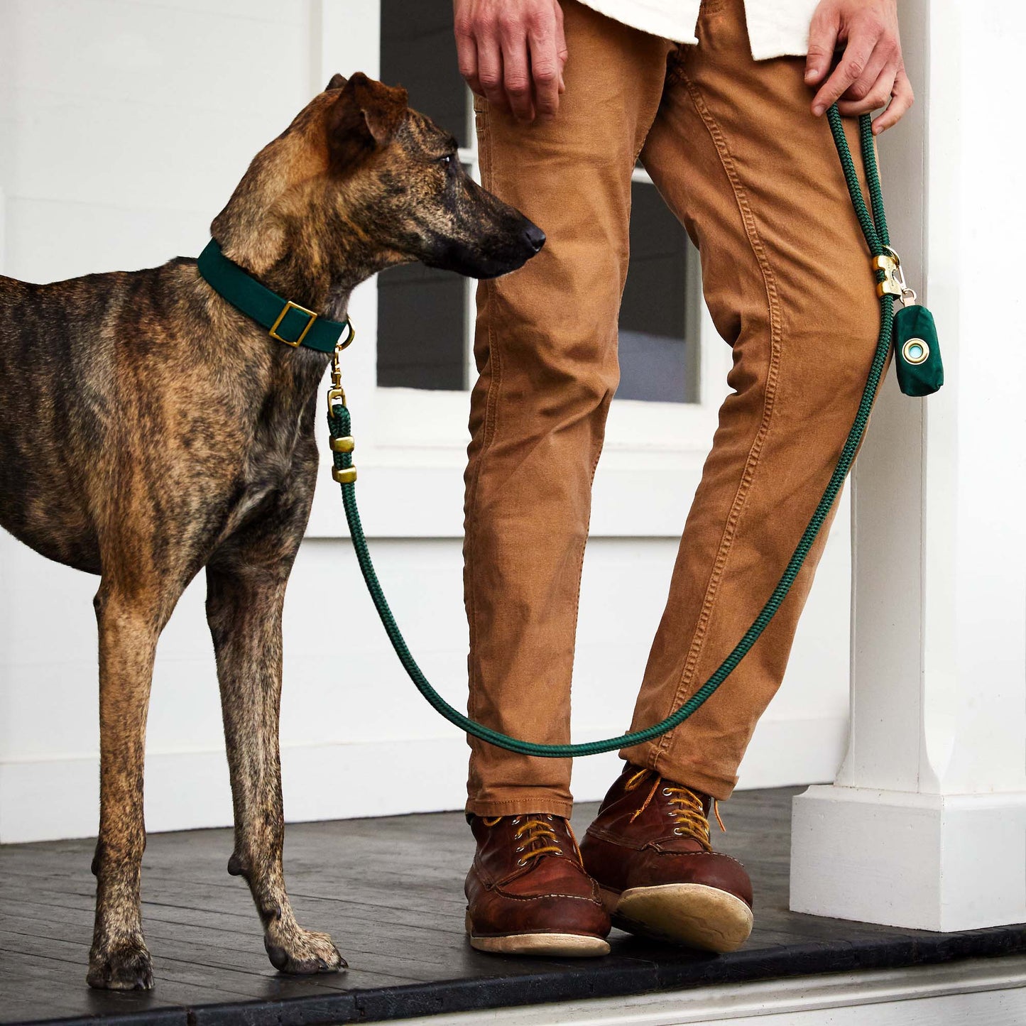 Foggy Dog Evergreen Poop Bag Dispenser