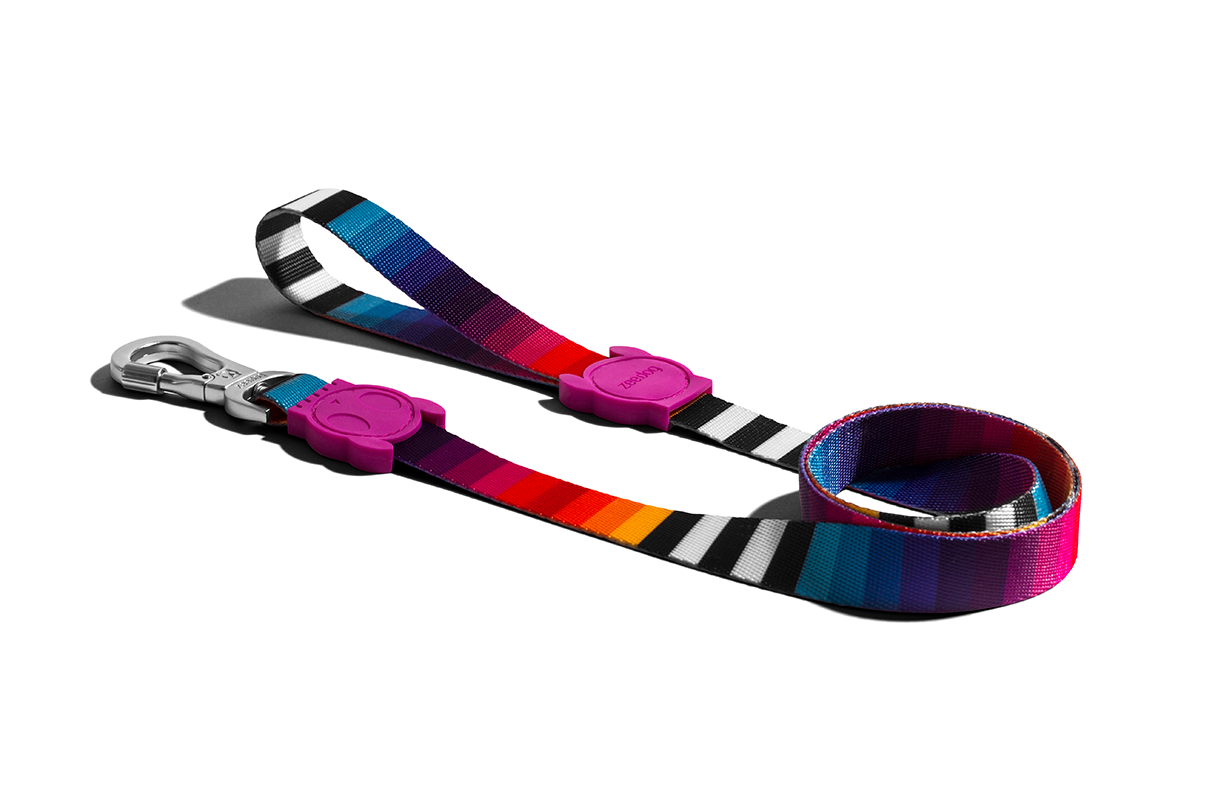 Prisma | Leash