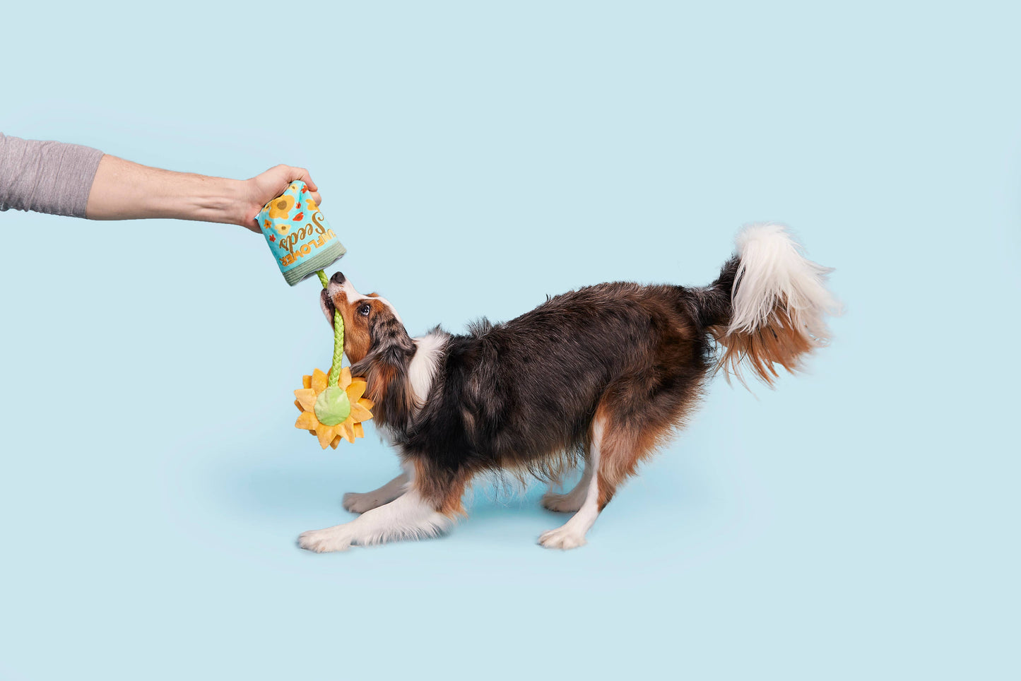 BARK Funflower Seeds Rope Toy